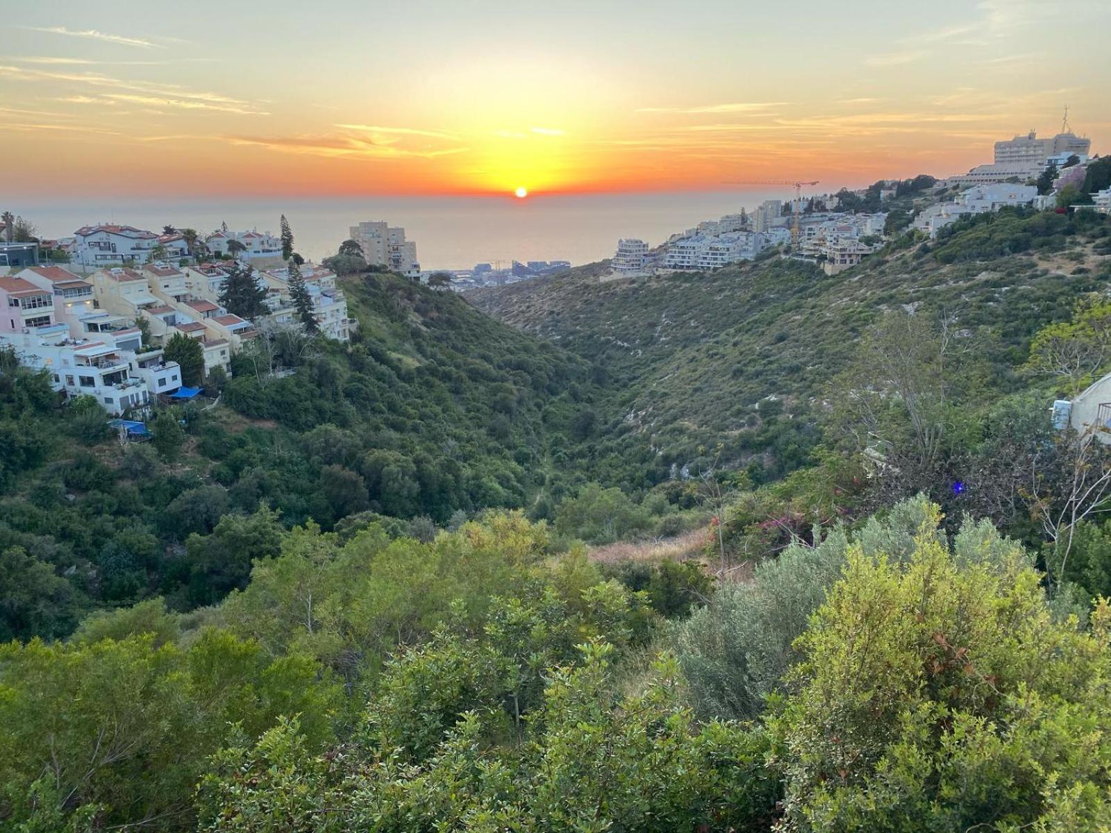 Sea View Carmel Mountain University Haifa Bagian luar foto